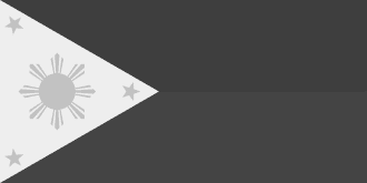 Section Icon